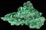 Silky Fibrous Malachite Crystal Cluster - Congo #45325-1